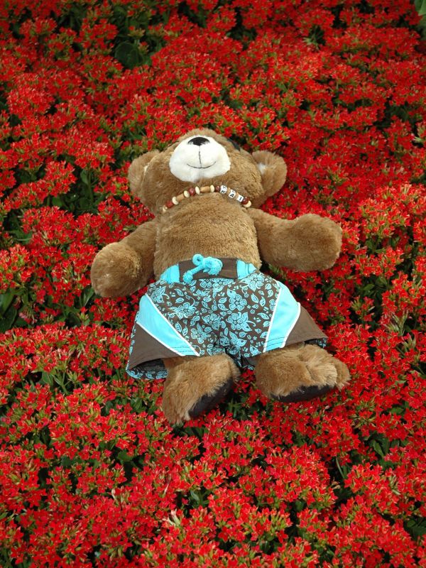 2011_06_12_-_104_-_Nikon_D70.JPG
