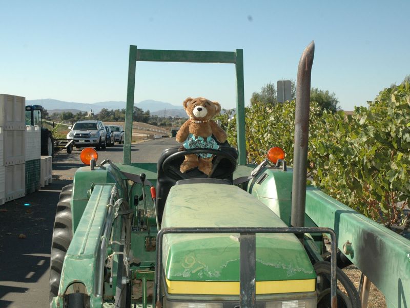 2011_10_23_-_267_-_Nikon_D70.JPG