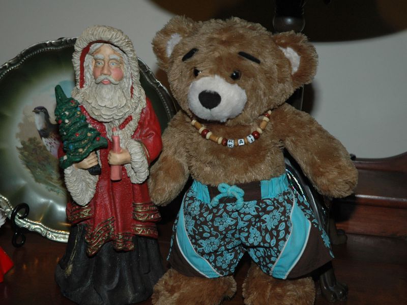 2011_11_26_-_051_-_Nikon_D70.JPG