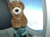 Filename=2011_11_27_-_042_-_Nikon_D70.JPG
Filesize=237KiB
Dimensions=1600x1200
Date added=Oct 29, 2012 2011_11_27_-_042_-_Nikon_D70.JPG