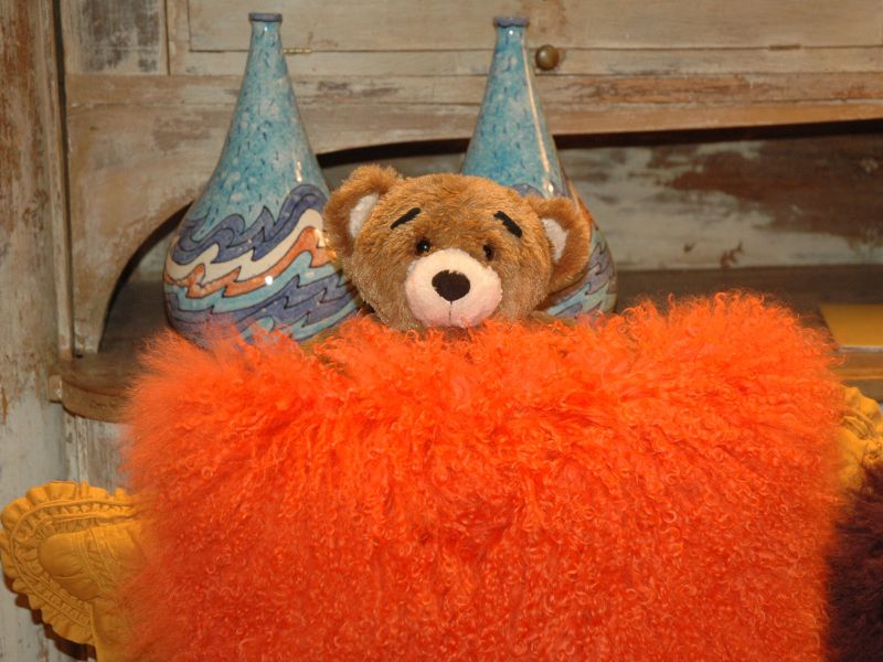 2011_12_04_-_014_-_Nikon_D70.JPG