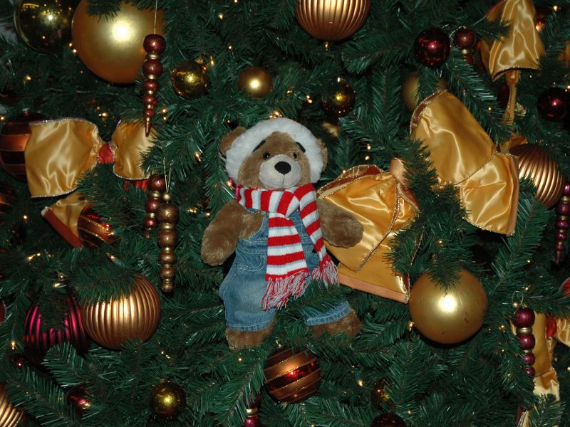 2011_12_04_-_034_-_Nikon_D70.JPG