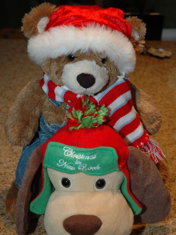 2011_12_28_-_012_-_Nikon_D70.JPG