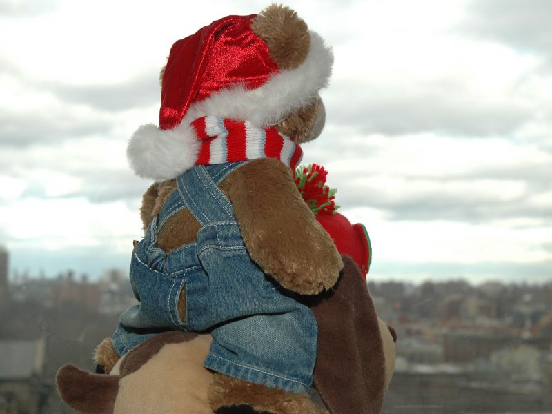 2011_12_28_-_015_-_Nikon_D70.JPG