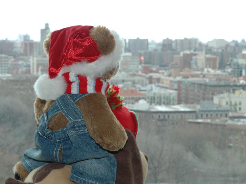 2011_12_28_-_016_-_Nikon_D70.JPG