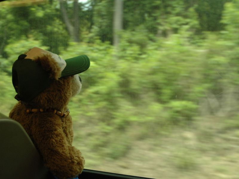 2012_06_03_-_103_-_Nikon_D70.JPG
