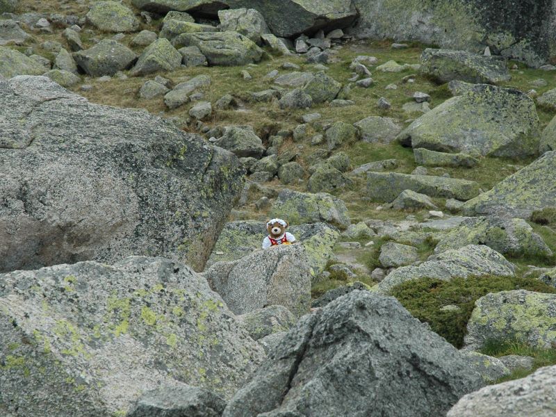 2012_06_10_-_219_-_Nikon_D70.JPG