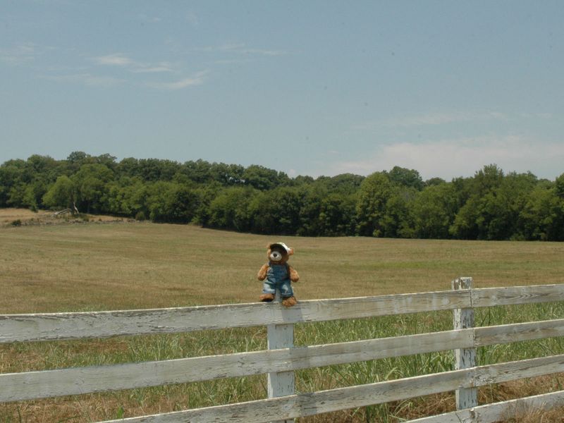 2012_06_29_-_058_-_Nikon_D70.JPG