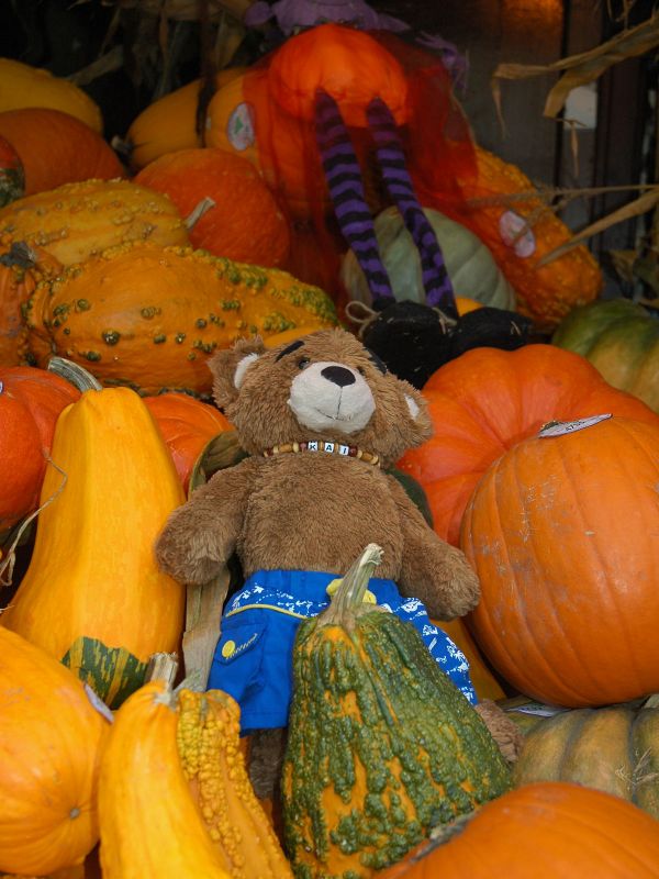 2012_10_06_-_003_-_Nikon_D70.JPG