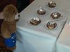 2012_10_14_-_020_-_Nikon_D70.JPG