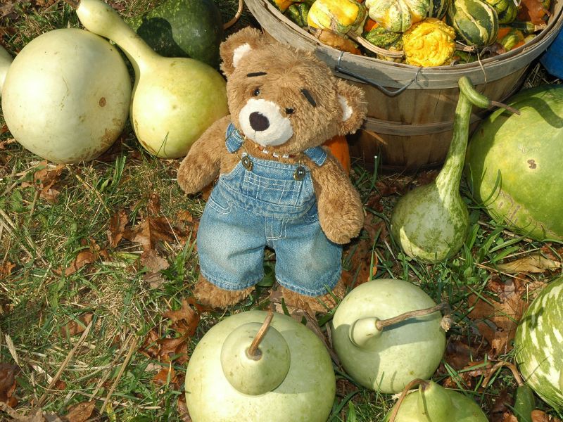 2012_10_20_-_018_-_Nikon_D70.JPG