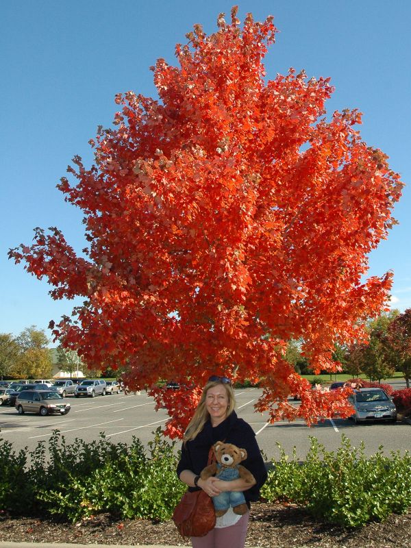 2012_10_20_-_020_-_Nikon_D70.JPG