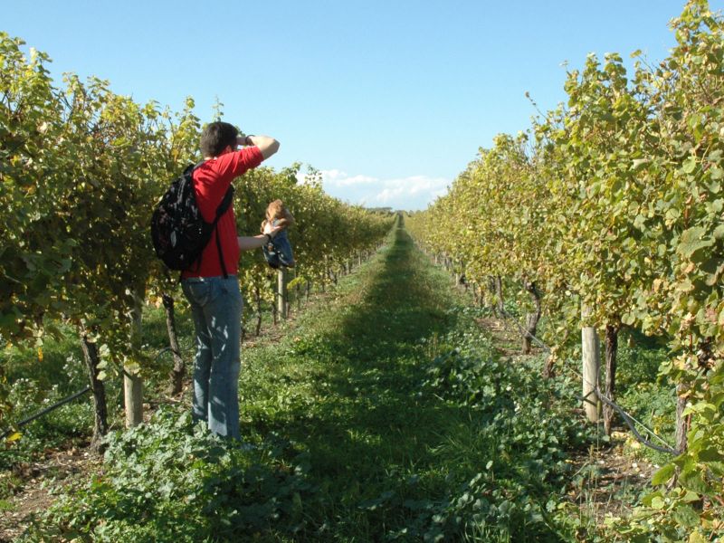2012_10_20_-_037_-_Nikon_D70.JPG