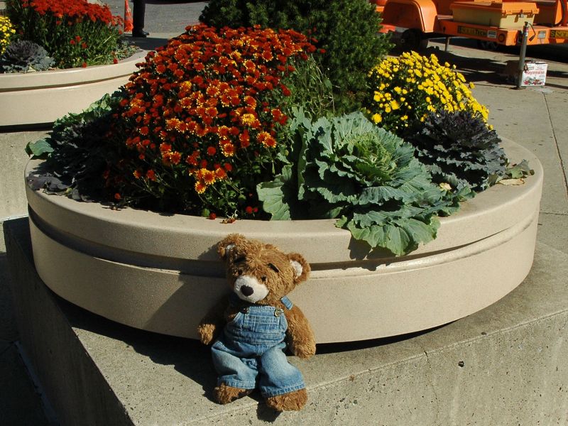 2012_10_21_-_001_-_Nikon_D70.JPG