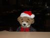 2012_12_21_-_004_-_Nikon_D70.JPG