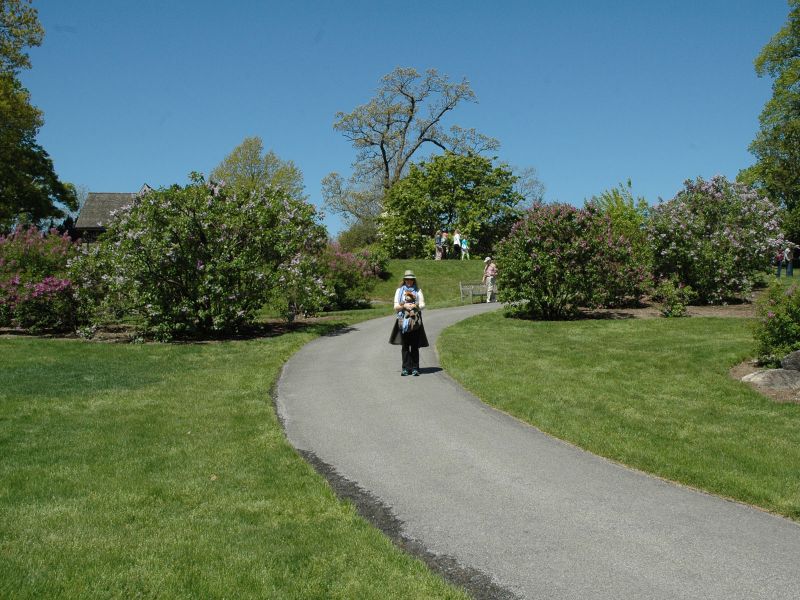 2013_05_05_-_049_-_Nikon_D70.JPG