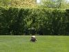 2013_05_05_-_038_-_Nikon_D70.JPG