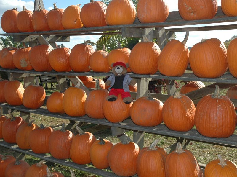2013_10_26_-_010_-_Nikon_D70.JPG