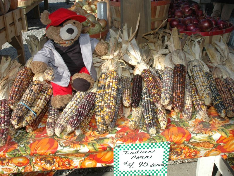 2013_10_26_-_018_-_Nikon_D70.JPG