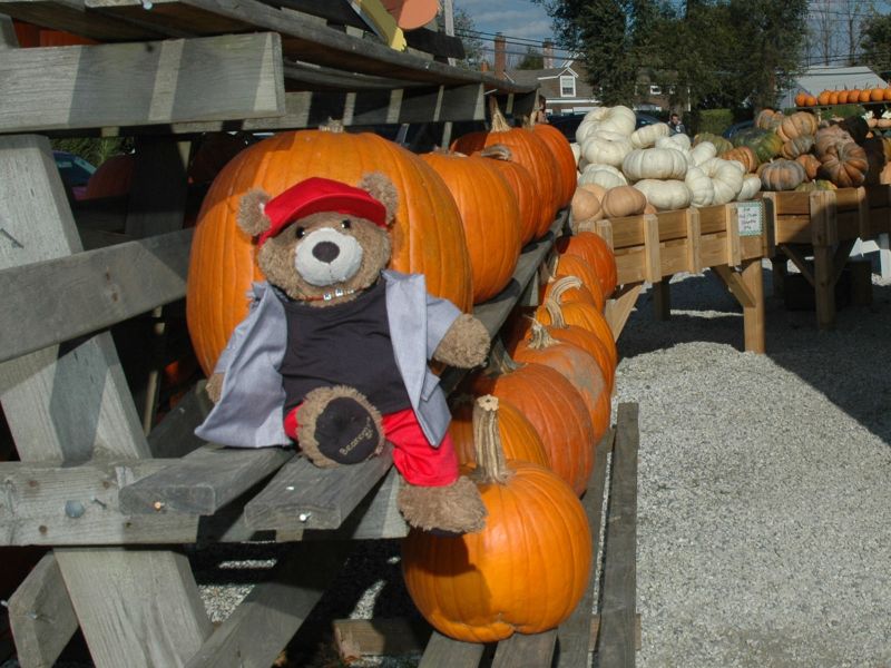 2013_10_26_-_019_-_Nikon_D70.JPG