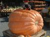 2013_10_26_-_016_-_Nikon_D70.JPG