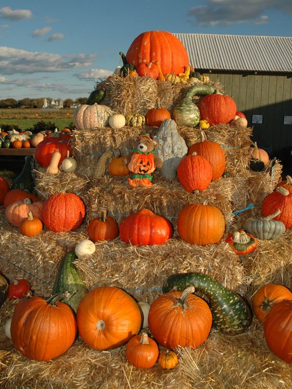 2013_10_27_-_095_-_Nikon_D70.JPG