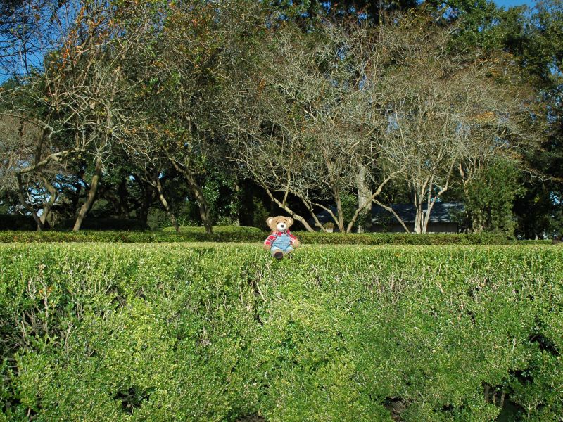 2013_11_24_-_186_-_Nikon_D70.JPG