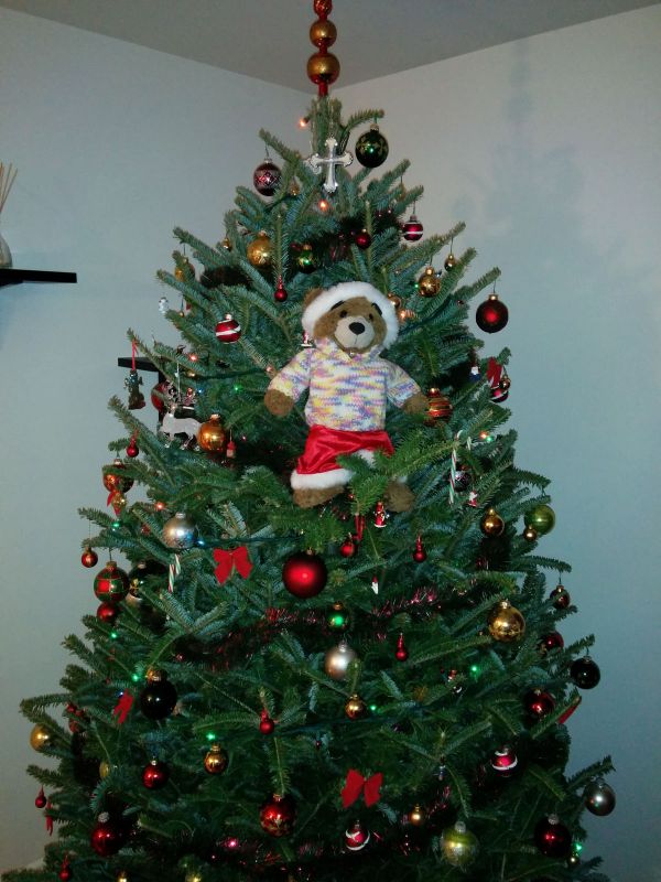 2013_12_28_-_002_-_Nexus_5.jpg