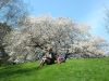 2014_04_19_-_005_-_Nikon_D70.JPG