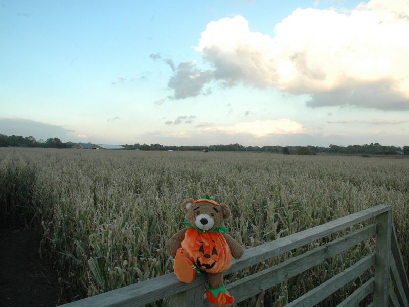 2014_10_18_-_135_-_Nikon_D70.JPG