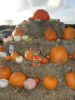 2014_10_18_-_126_-_Nikon_D70.JPG